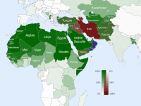 carte monde musulman